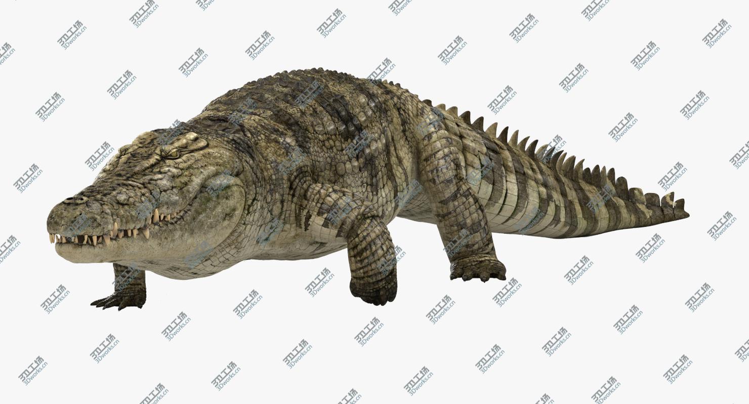 images/goods_img/20210113/3D Crocodile Animated model/2.jpg